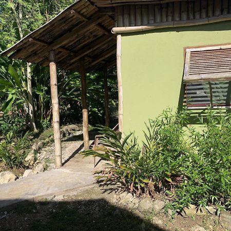 Can Jam Retreat Negril Bagian luar foto