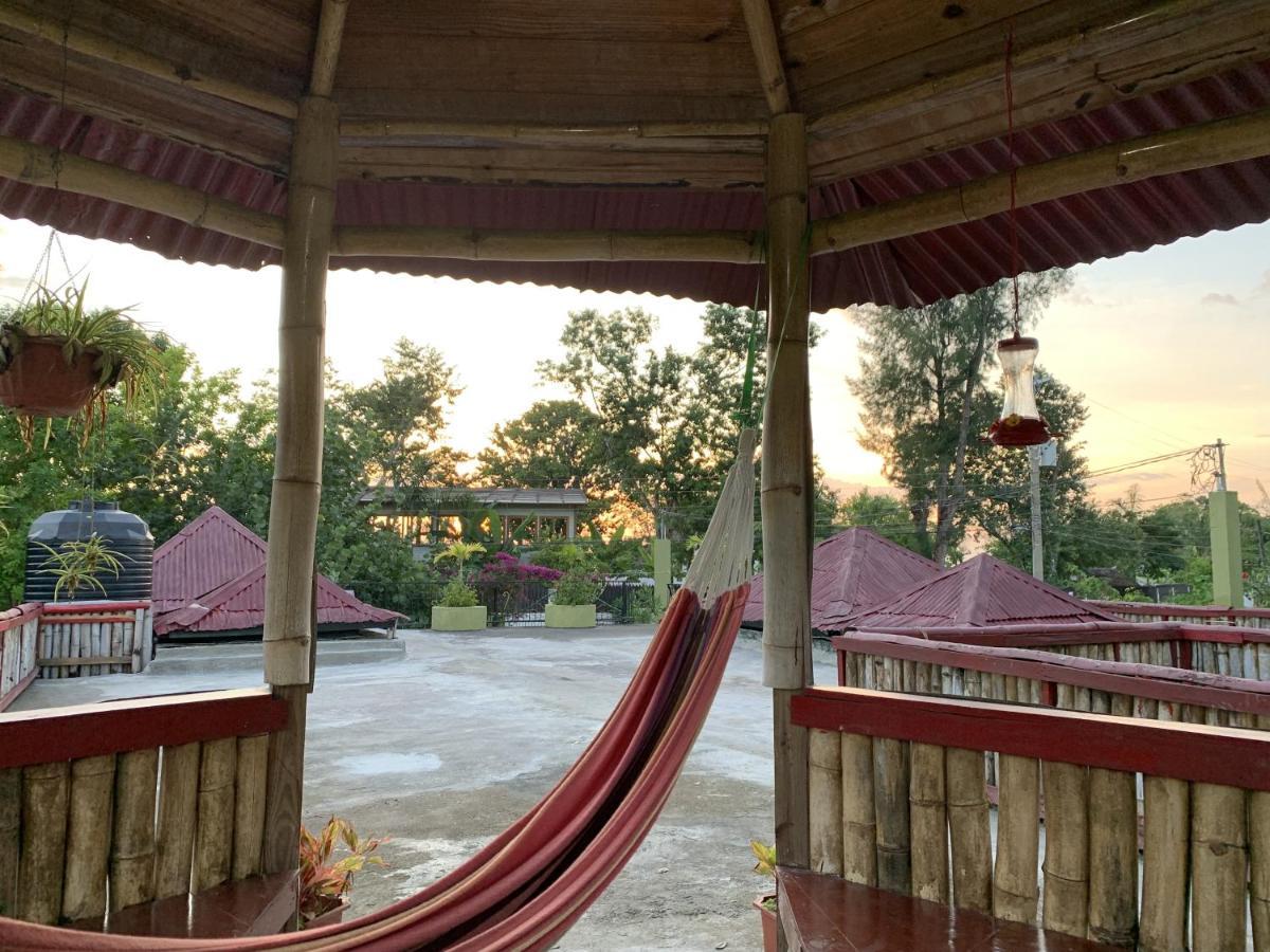 Can Jam Retreat Negril Bagian luar foto
