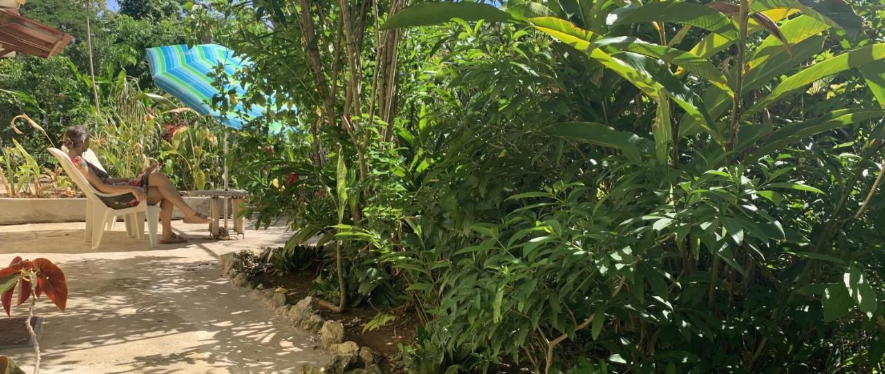 Can Jam Retreat Negril Bagian luar foto