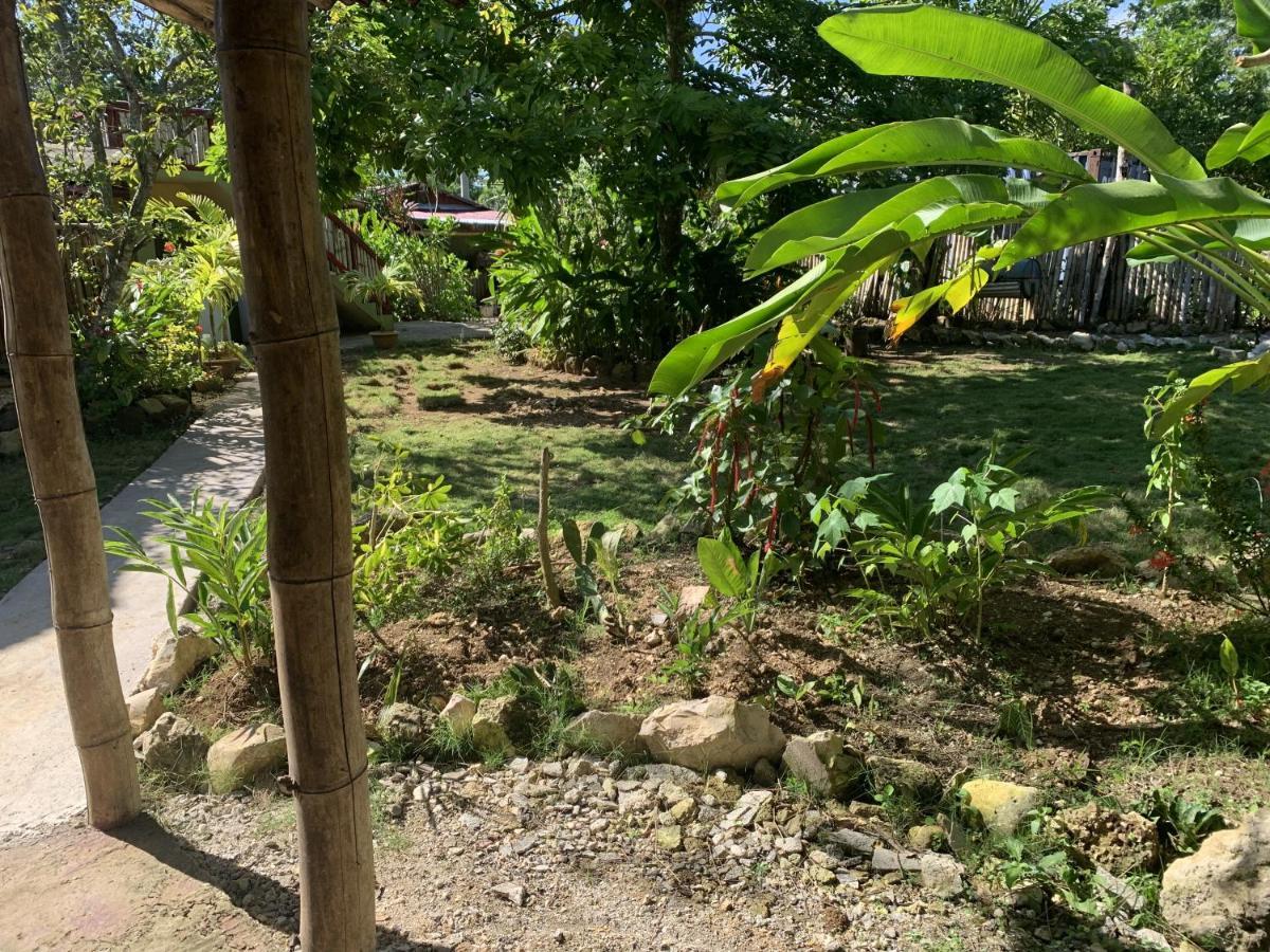 Can Jam Retreat Negril Bagian luar foto