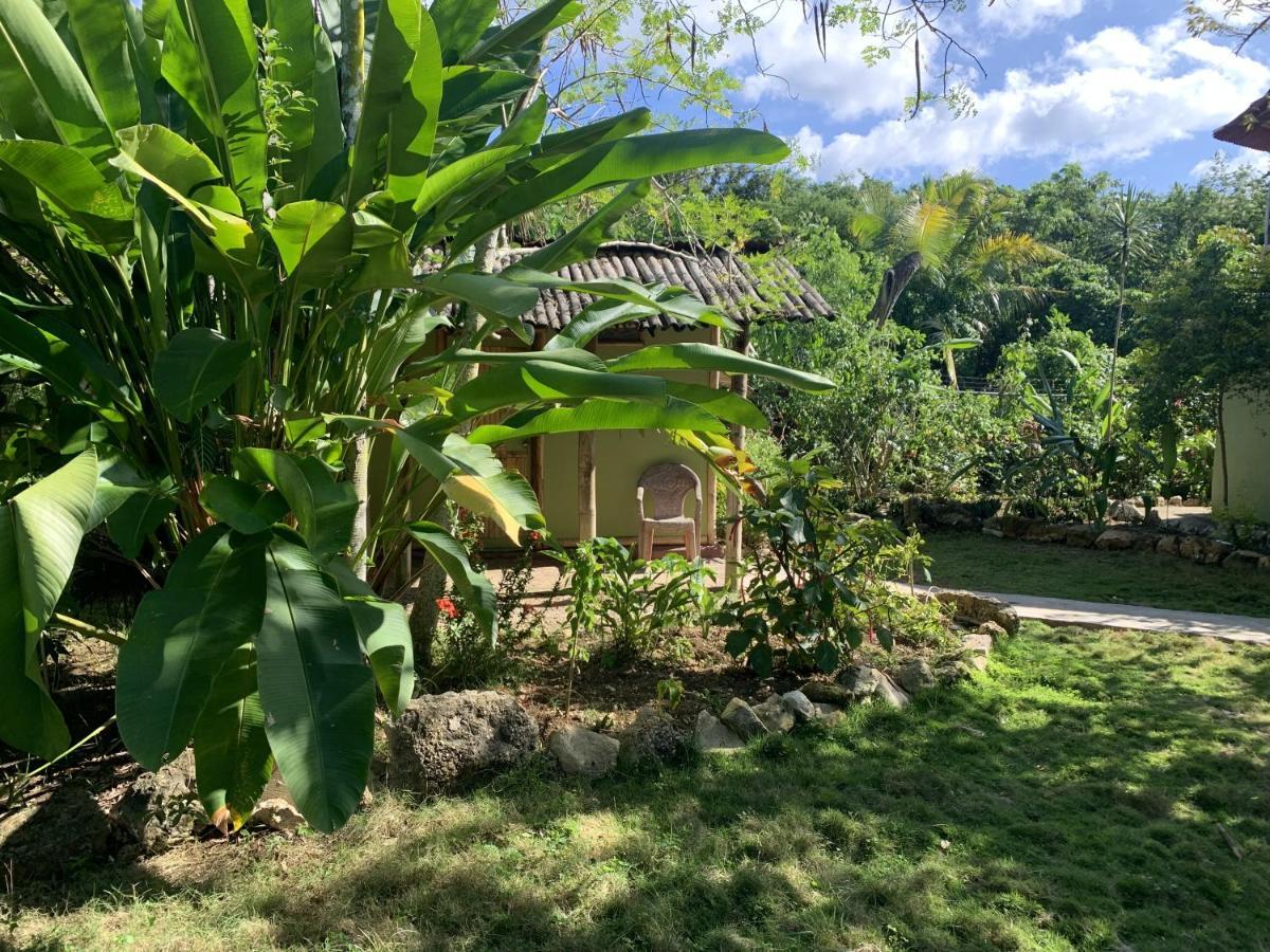 Can Jam Retreat Negril Bagian luar foto