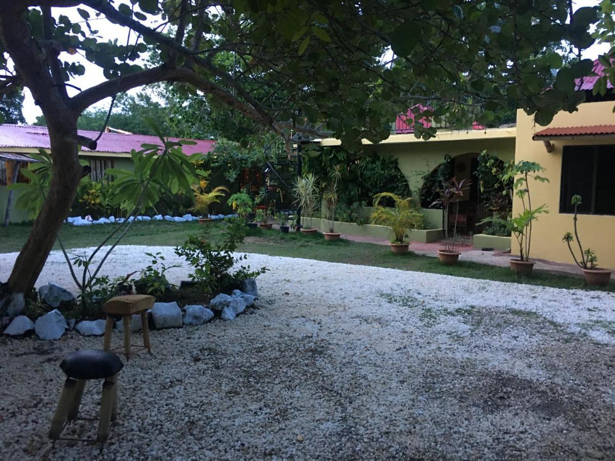 Can Jam Retreat Negril Bagian luar foto
