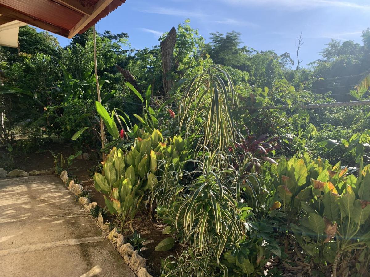 Can Jam Retreat Negril Bagian luar foto