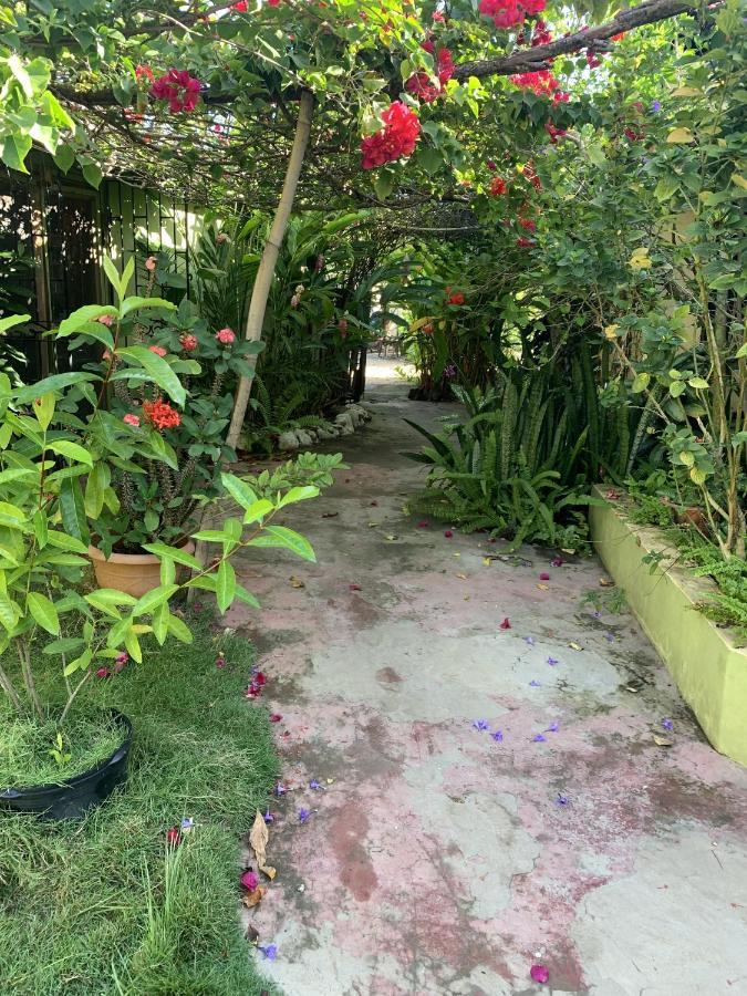 Can Jam Retreat Negril Bagian luar foto