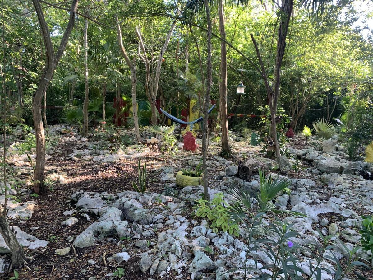 Can Jam Retreat Negril Bagian luar foto