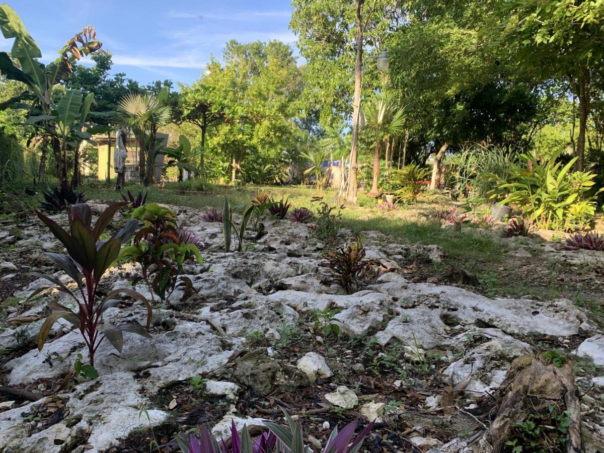 Can Jam Retreat Negril Bagian luar foto