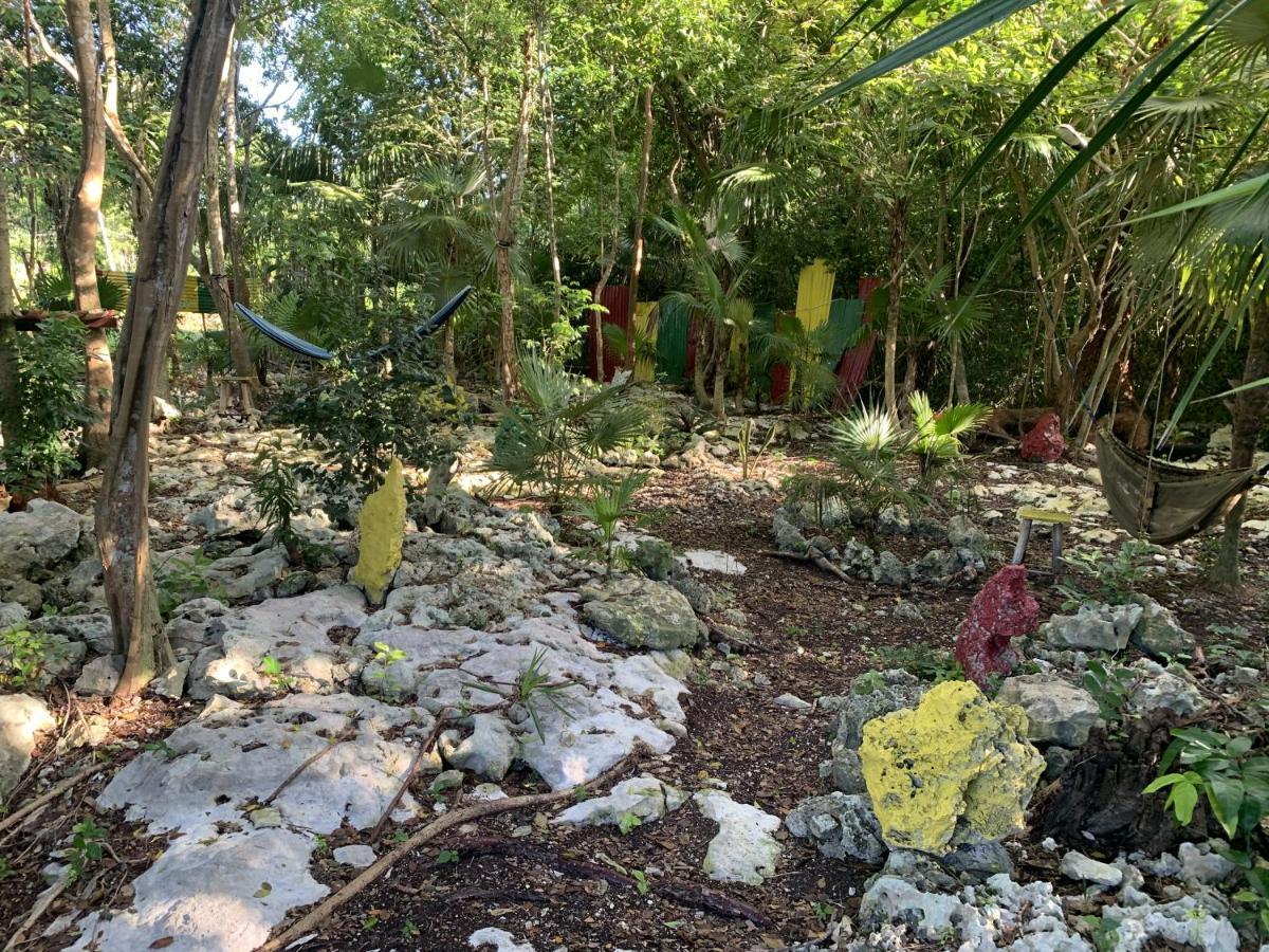 Can Jam Retreat Negril Bagian luar foto