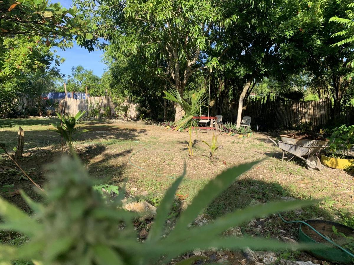 Can Jam Retreat Negril Bagian luar foto