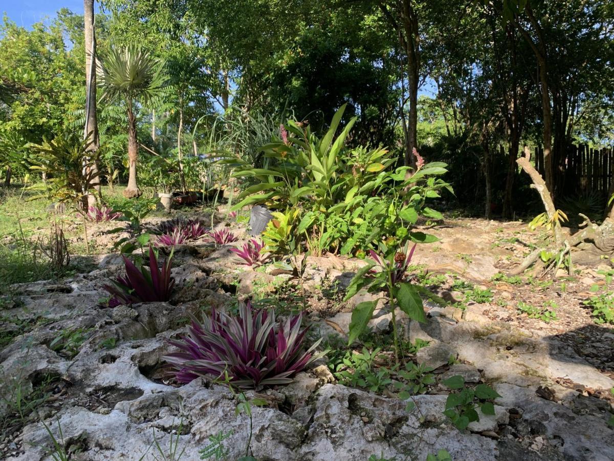 Can Jam Retreat Negril Bagian luar foto