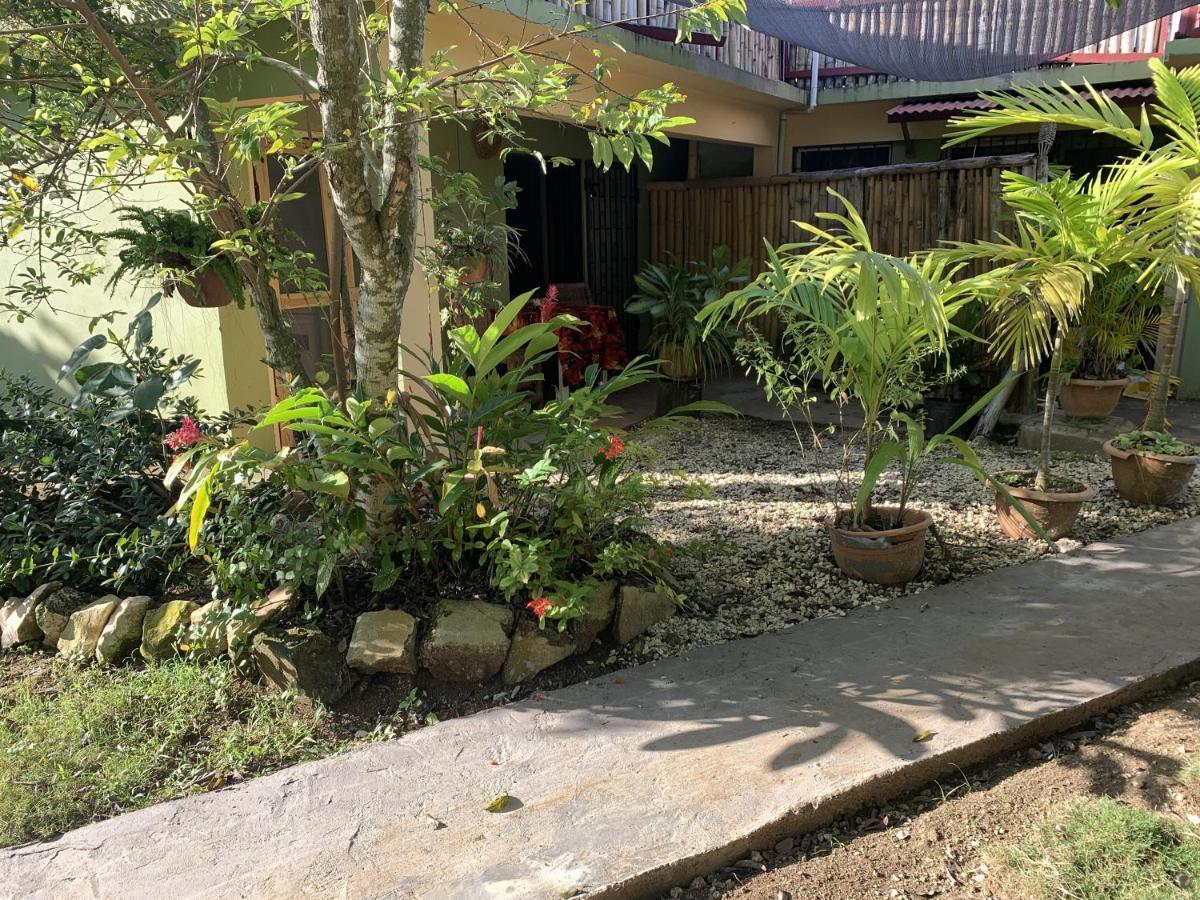 Can Jam Retreat Negril Bagian luar foto