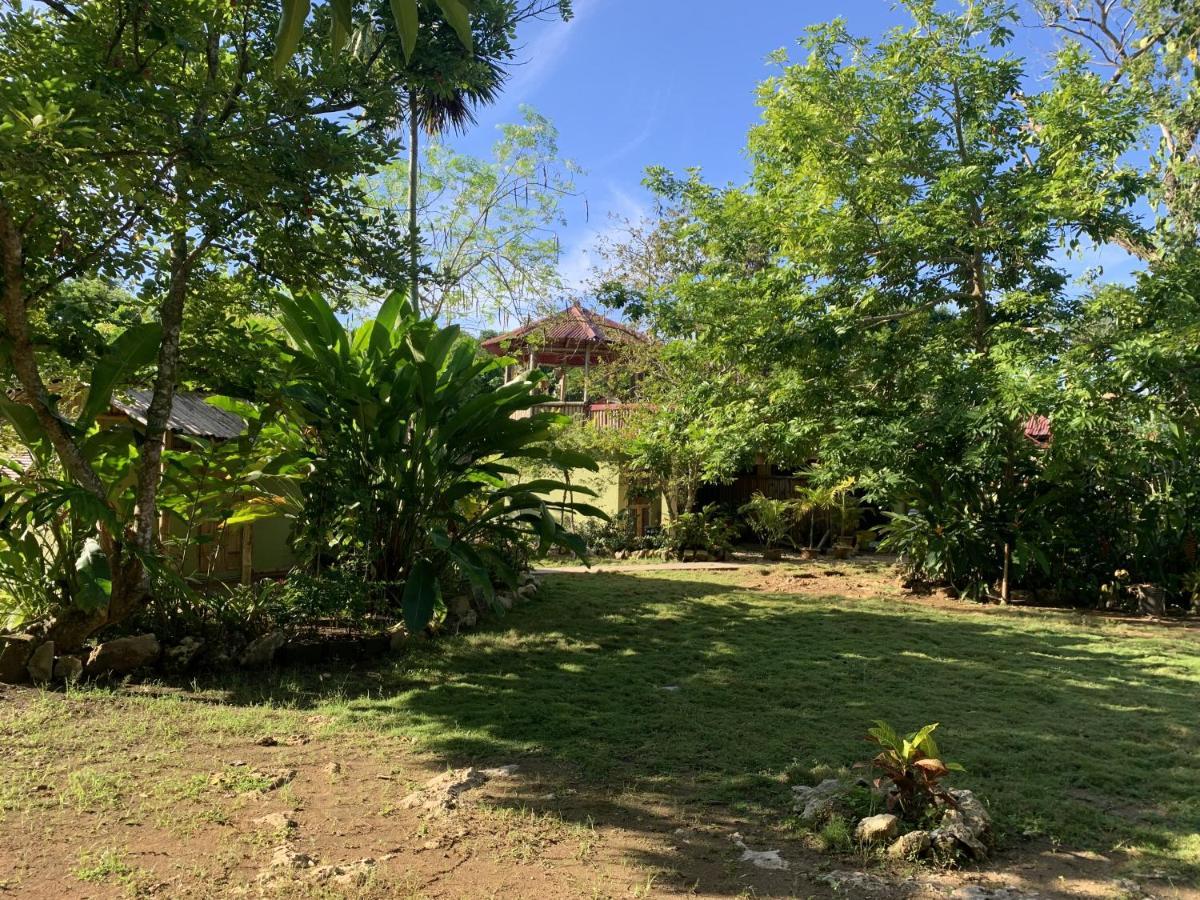 Can Jam Retreat Negril Bagian luar foto