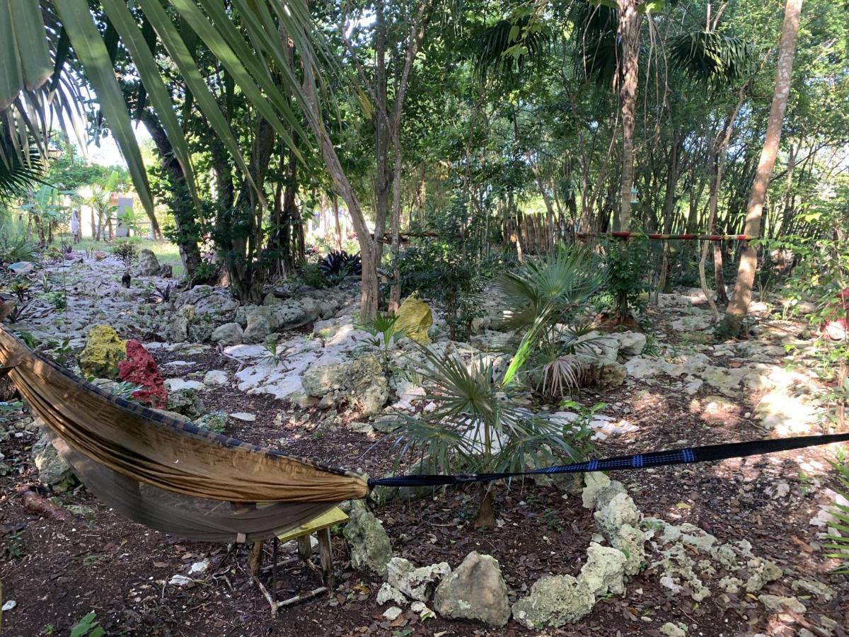 Can Jam Retreat Negril Bagian luar foto